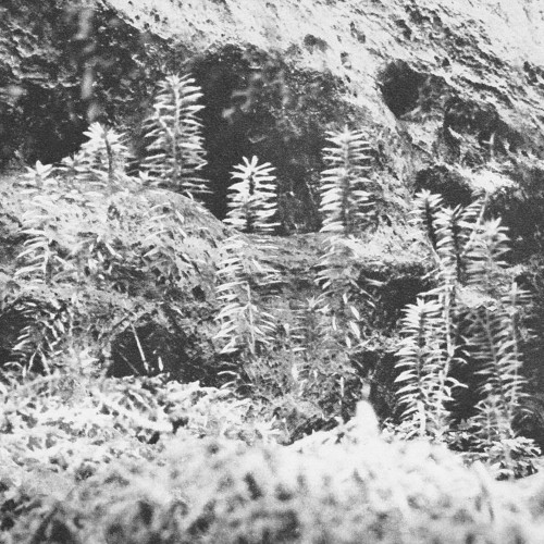 [untitled]