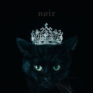 BEST SELECTION “noir”
