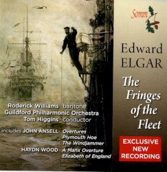 The Fringes of the Fleet
