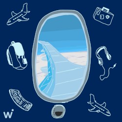 Travel Bag