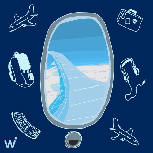 Travel Bag