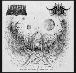 Sentient Autolysis / Cosmic Apoptosis
