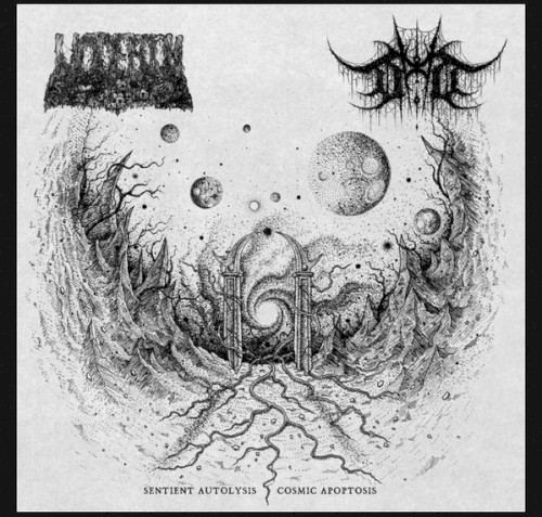 Sentient Autolysis / Cosmic Apoptosis