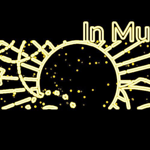 In Mu
