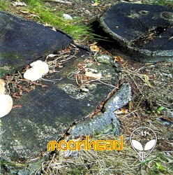 Moonhead: Music from the Underground, Volume 11: Underground Sounds