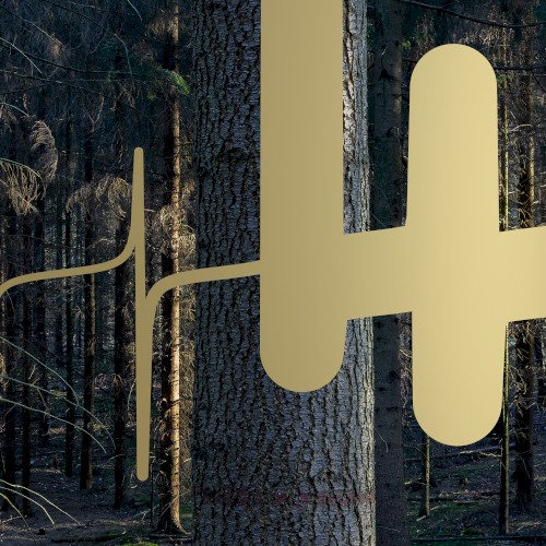 Woods, Tales & Friends (Part One)