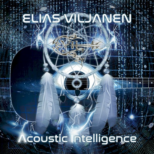 Acoustic Intelligence