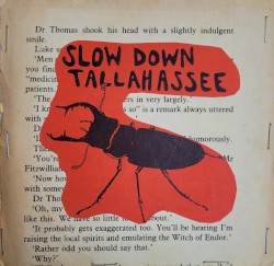 Slow Down Tallahassee