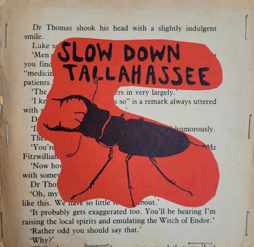 Slow Down Tallahassee