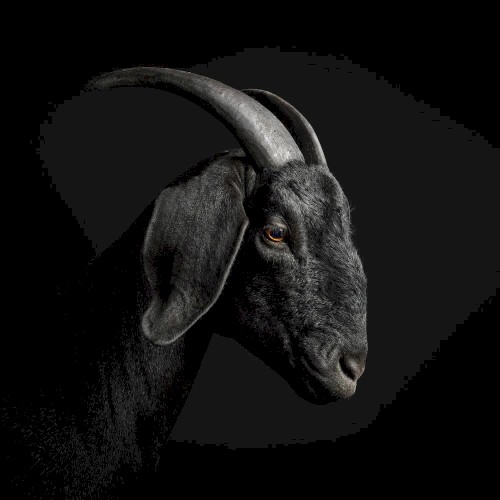 Sacrifice EP (Expanded)