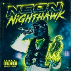 Neon Nighthawk