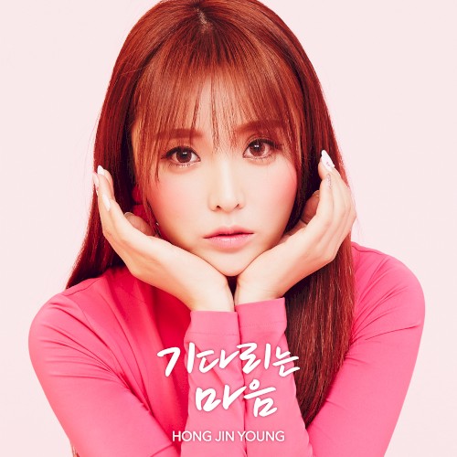 월량대표아적심 (The Moon Represents My Heart)
