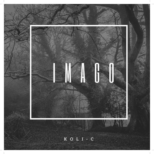 IMAGO