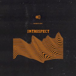Introspect