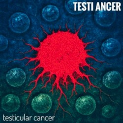 Testicular Cancer