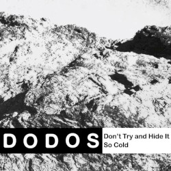 Don't Try and Hide It / So Cold