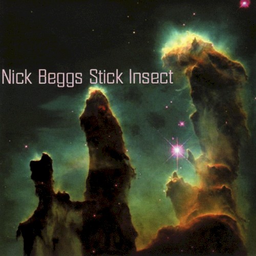 Stick Insect
