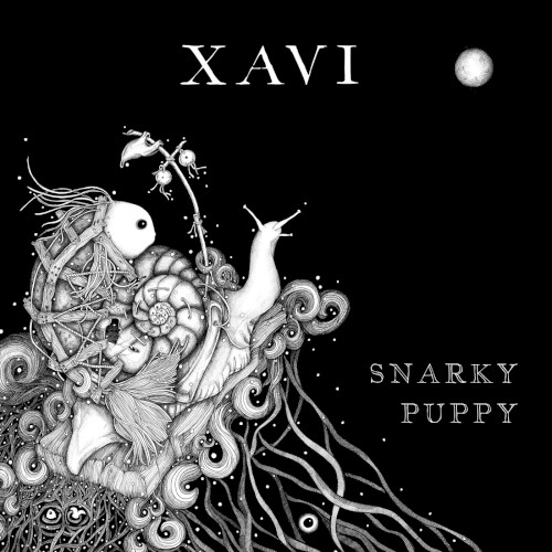 Xavi