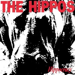 Hippocracy