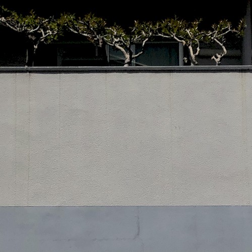 Nikagetsuamari EP