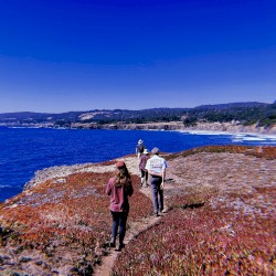 Bluff Trail
