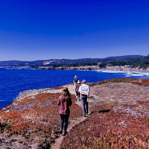 Bluff Trail