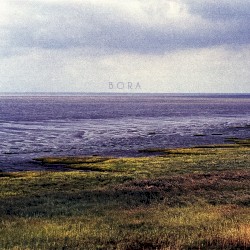 Bora