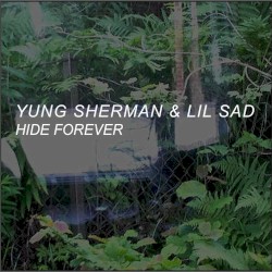 HIDE FOREVER