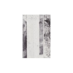 9 Mezzotints