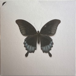 All Comes / Notes