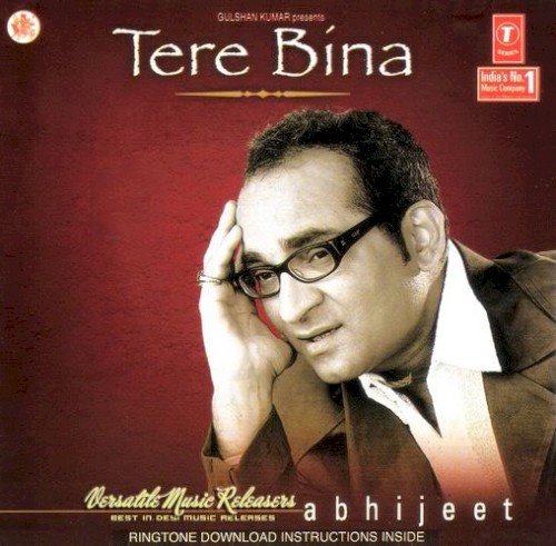 Tere Bina