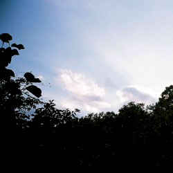 Memory Repetitions
