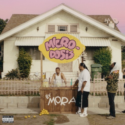 MICRODOSIS