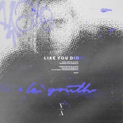 Like You Did