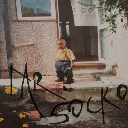 Mr. Socko