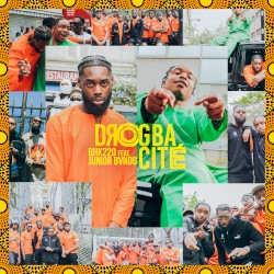 Drogbacité