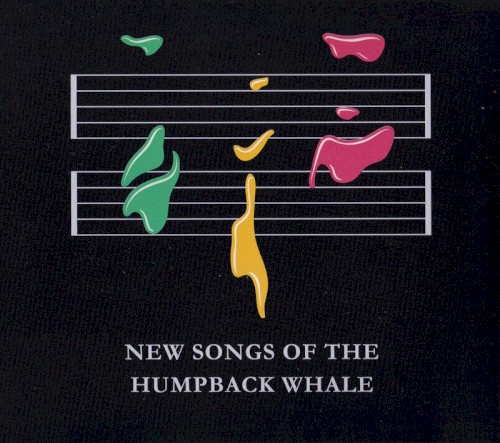 New Songs of the Humpback Whale
