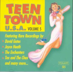 Teen Town USA, Volume 5