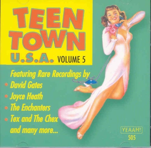 Teen Town USA, Volume 5