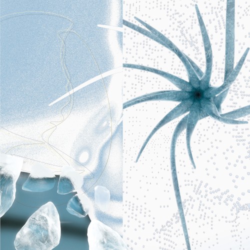 Arctic Beats 2