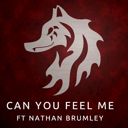 Can You Feel Me