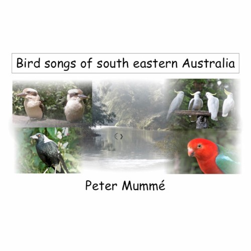 Bird Songs of South Eastern Australia