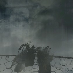 Where It Lives