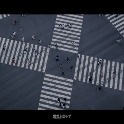 十字路