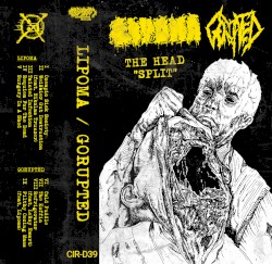 The Head "Split"
