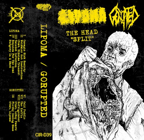 The Head "Split"