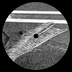 Concrete Grounds