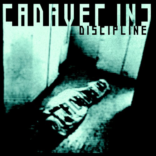Discipline
