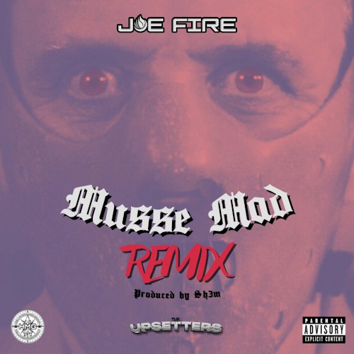 Musse Mad (Sh?m remix)