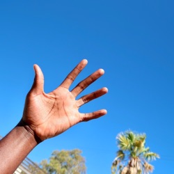 In My Palm